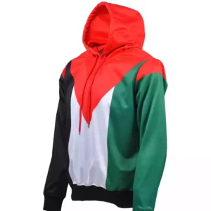 Palestine Flag Hoodie