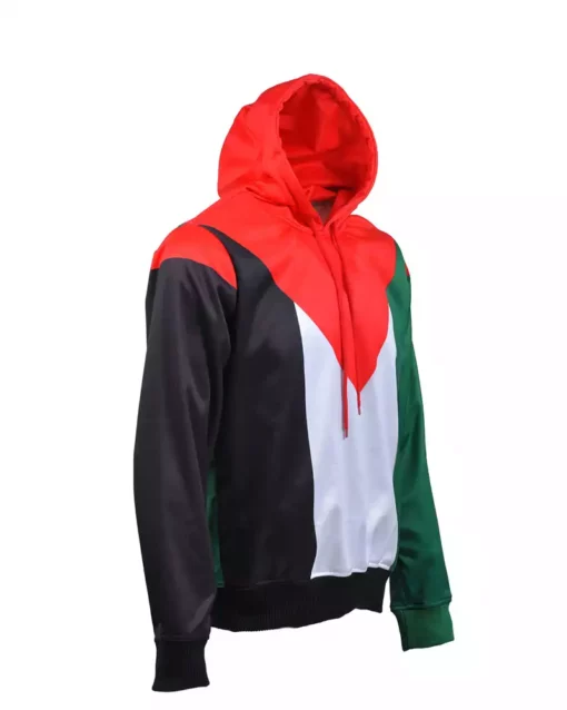 Palestine Flag Hoodie