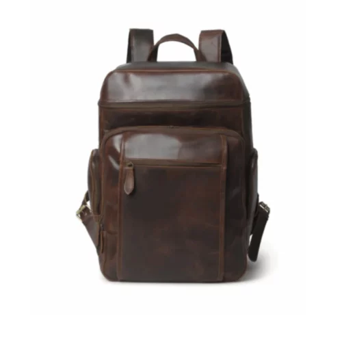 Alpha Brown Buffalo Leather Travel Backpack